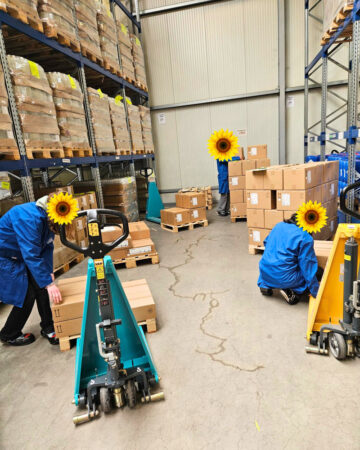 The girls work with the ant in the logistics department